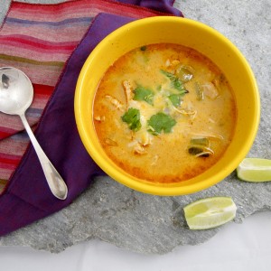 Chicken, Chile And Tomatillo Soup | Something New For Dinner