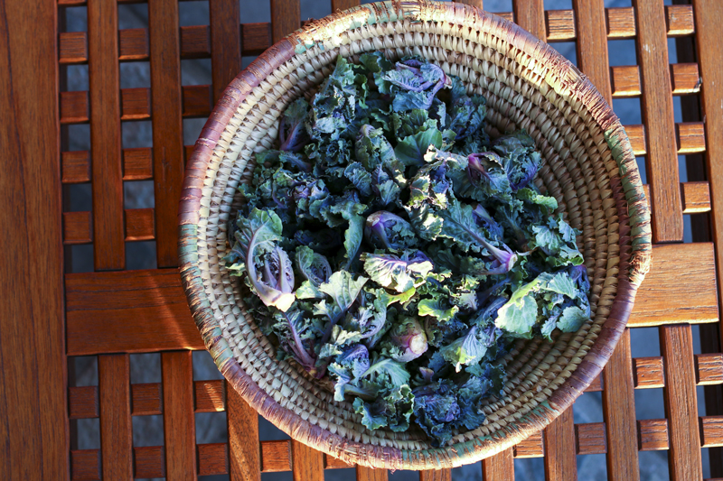 What happens when your two favorite super foods have a baby? Kalettes are a non-GMO cross breed of kale and brussels sprouts.