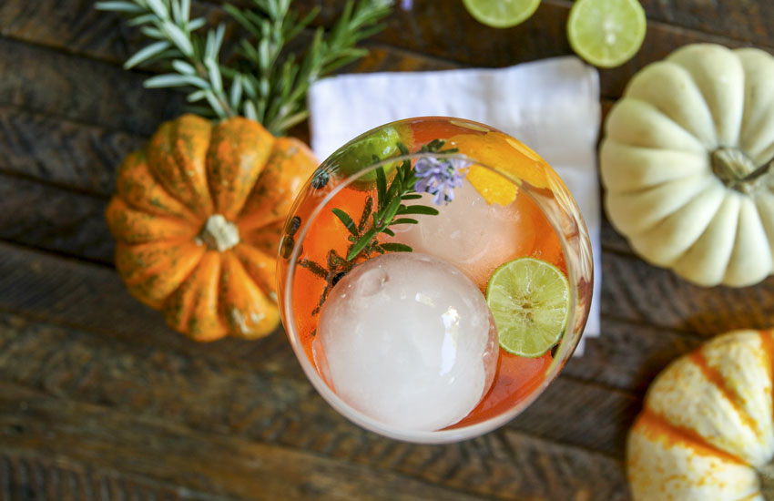 Aperol Gin and Tonic Something New For Dinner