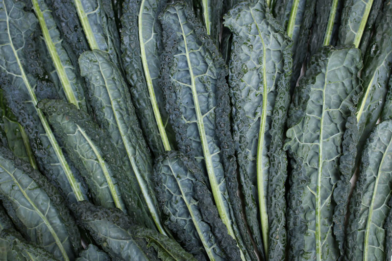 Kale | Something New For Dinner