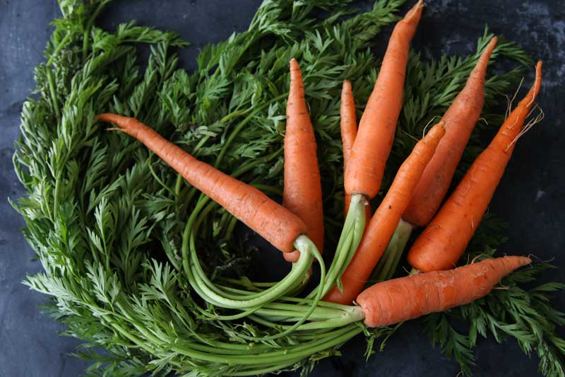Everything You Need to Know About Carrots and 49 Fabulous Carrot Recipes