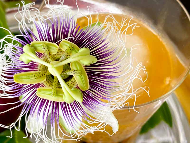 Passion fruit margarita | Something New For Dinner