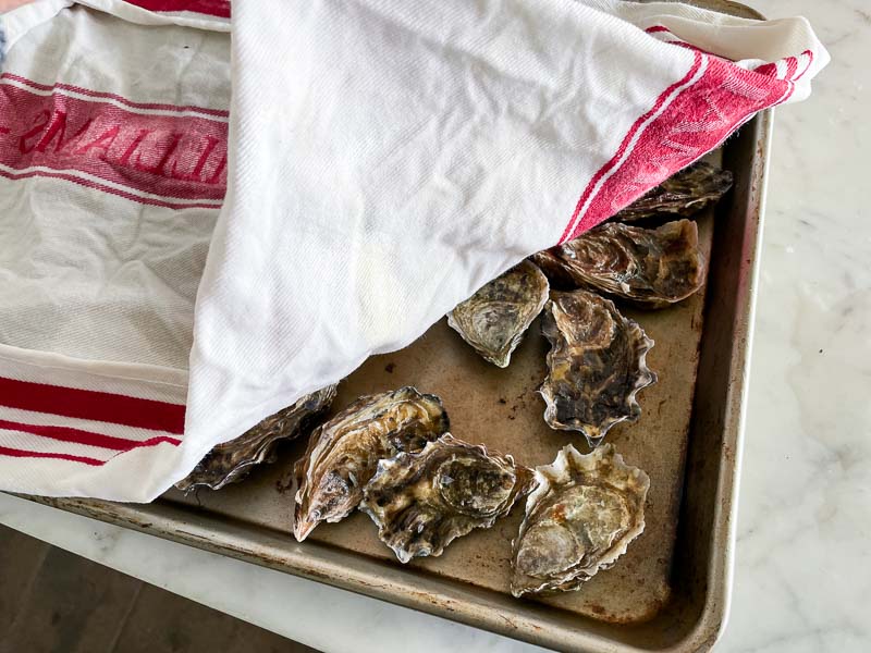 How to store raw oysters | Something New For Dinner