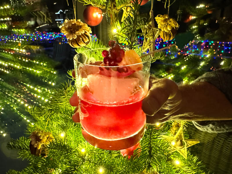 Pomegranate ginger cocktail | Something New For Dinner