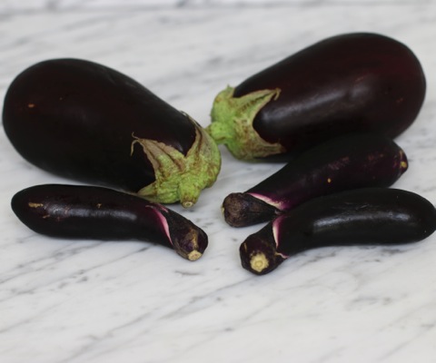 Eggplant | Something New For Dinner