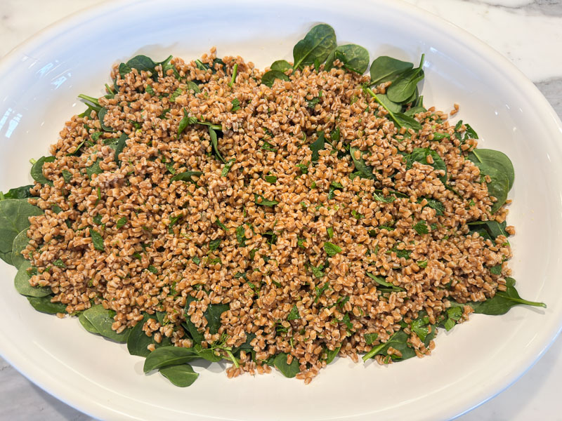 Eggplant, pomegranate and farro salad | Something New For Dinner